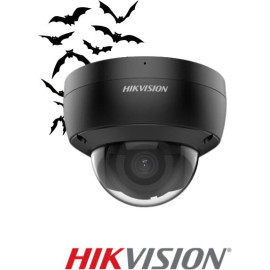 KAMERA IP HIKVISION DS-2CD2146G2-ISU(2.8mm)(C)(BLACK)